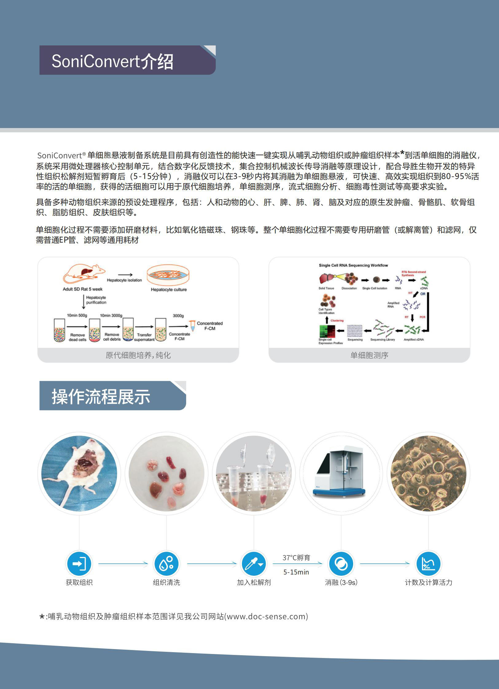 单细胞悬液制备系统