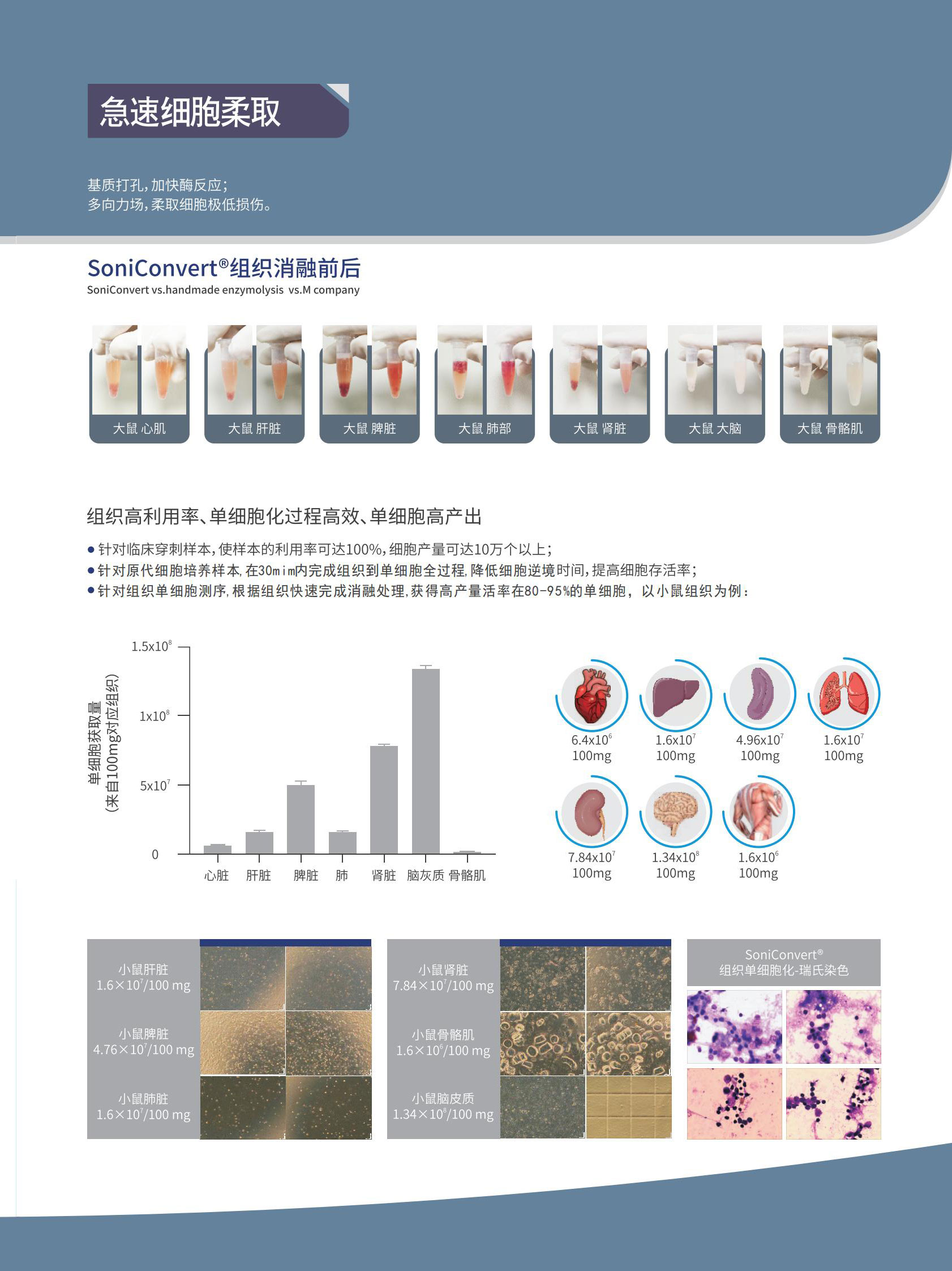 单细胞悬液制备系统