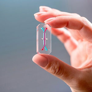 器官芯片在医学研究中的应用