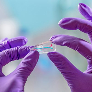 Emulate器官芯片：生物医药研究的革命性技术