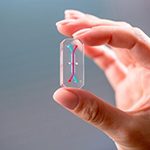实体瘤:免疫细胞治疗的下一片新大陆 实体瘤:免疫细胞治疗的下一片新大陆