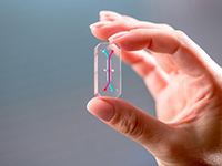 实体瘤：免疫细胞治疗的下一片新大陆